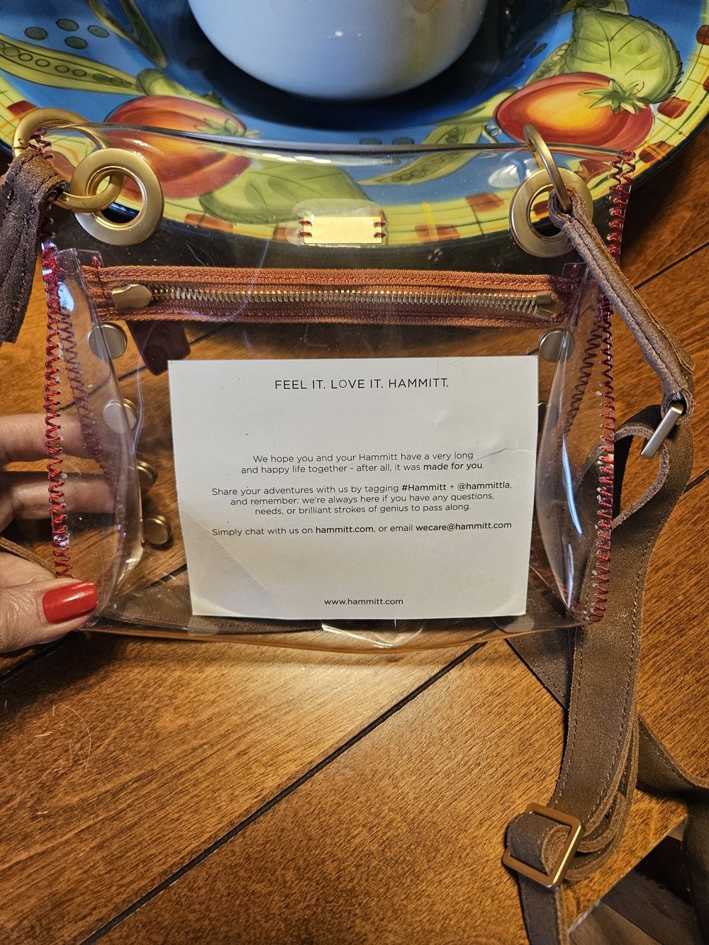 Hammitt Tony Small Clear Crossbody Gold Accents - Picture 3 of 10